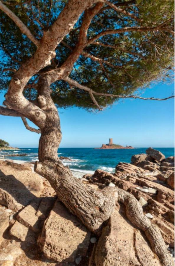 Le Petit Semaphore Saint-Raphaël Екстериор снимка